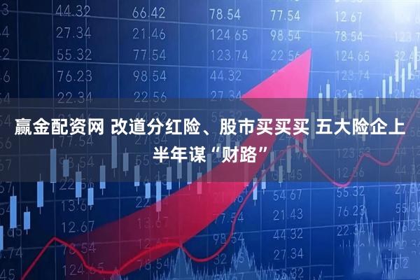 赢金配资网 改道分红险、股市买买买 五大险企上半年谋“财路”