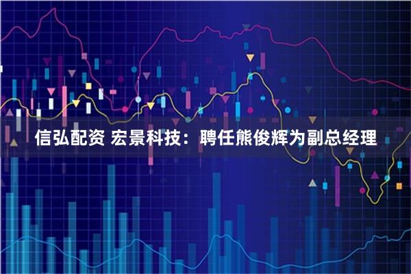 信弘配资 宏景科技：聘任熊俊辉为副总经理