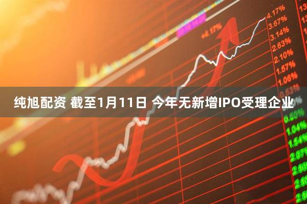 纯旭配资 截至1月11日 今年无新增IPO受理企业