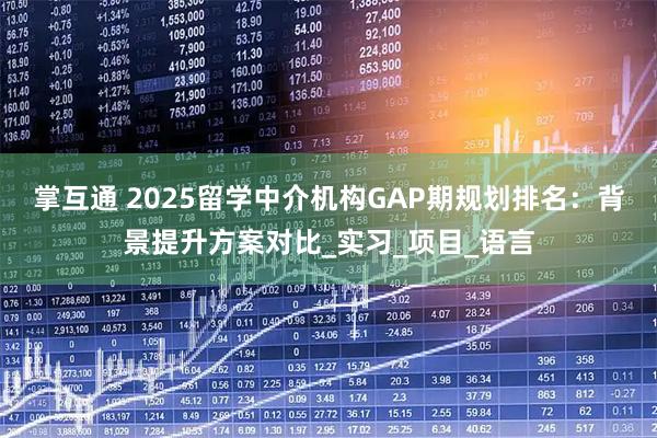 掌互通 2025留学中介机构GAP期规划排名：背景提升方案对比_实习_项目_语言